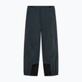 Men's ski trousers Oakley Baldface Pro Gore-Tex graphite 7