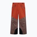 Men's ski trousers Oakley Canopy Pro Insulated Dark Umber/Flame Red 6