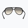 Sunglasses Ray-Ban Cats 5000 Classic black/light grey gradient 5