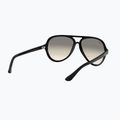 Sunglasses Ray-Ban Cats 5000 Classic black/light grey gradient 6