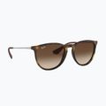 Sunglasses Ray-Ban Erika Classic matt havana/brown