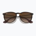 Sunglasses Ray-Ban Erika Classic matt havana/brown 3