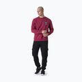 Men's Everlast Neutrals Crewneck sweatshirt bordeaux 2