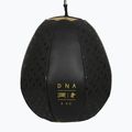 Speedball LEONE 1947 DNA black 2