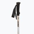 Trekking poles  Fizan Trek Pro beige/black 2