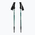 Trekking poles  Fizan Trek Pro dark green 5