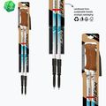 Trekking poles Fizan Tierra light blue 6