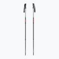 Trekking poles  Fizan Explorer beige/red