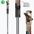 Nordic walking poles Fizan Carbon Pro Impulse grey 6