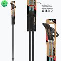 Nordic walking poles Fizan Tekno Impulse grey 6