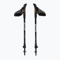 Nordic walking poles Fizan R-Evolution beige 5