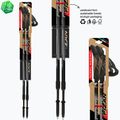 Nordic walking poles Fizan Speed black 4