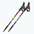 Nordic walking poles Fizan Speed Junior rainbow