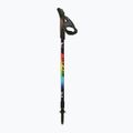 Nordic walking poles Fizan Speed Junior rainbow 2
