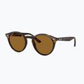 Sunglasses Ray-Ban RB2180 light havana/brown polarized 4