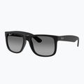 Sunglasses Ray-Ban Justin Classic matt black gum/dark grey 4
