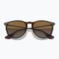 Sunglasses Ray-Ban Erika Classic light havana/brown polarized 3