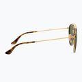 Sunglasses Ray-Ban Round Double Bridge arista gold/green g-15 7