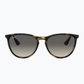 Children's sunglasses Ray-Ban Erika havana/grey 2