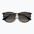 Children's sunglasses Ray-Ban Erika havana/grey 3