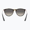 Children's sunglasses Ray-Ban Erika havana/grey 5