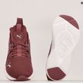 Women's running shoes PUMA Softride Enzo Nxt maroon 195235 17 18