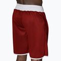 LEONE men's 1947 Double Face Boxing shorts blue/red AB215 5