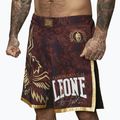 MMA shorts LEONE 1947 Legionarivs II bordeaux