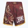 MMA shorts LEONE 1947 Legionarivs II bordeaux 5