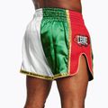 Men's training shorts LEONE 1947 Siam Thai green/white 2