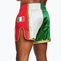 Men's training shorts LEONE 1947 Siam Thai green/white 3