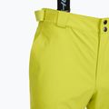 Men's ski trousers Fischer Premier fischer yellow 8