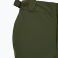 Men's ski trousers Fischer Premier rifle green 10