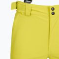 Men's ski trousers Fischer RC4 fischer yellow 7