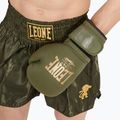 Men's boxer shorts LEONE 1947 Basic 2 green 4