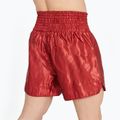 Men's boxer shorts LEONE 1947 Basic 2 red 2