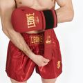 Men's boxer shorts LEONE 1947 Basic 2 red 3