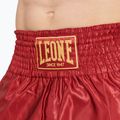 Men's boxer shorts LEONE 1947 Basic 2 red 4
