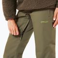 Oakley Jasmine Insulated women's ski trousers new dark brush 5