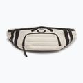 Oakley Enduro Belt Bag 4.5 l mist kidney pouch