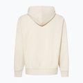 Men's Oakley MTL PO Hoodie mist 2