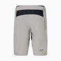 Men's Oakley Free Ride Lined cement cycling shorts 2
