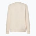 Men's Oakley New Ellipse Crew Sweatshirt mist 2