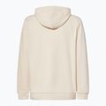 Men's Oakley New Ellipse Hoodie Sweatshirt mist 2
