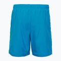Men's Oakley Clear Lake 18" Volley swimming shorts blue 2
