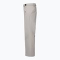 Men's ski trousers Oakley Canopy Insulated cement 8