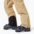 Men's ski trousers Oakley Sub Temp RC Gore-Tex 2.0 pebble 6