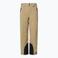 Men's ski trousers Oakley Sub Temp RC Gore-Tex 2.0 pebble 7