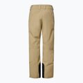 Men's ski trousers Oakley Sub Temp RC Gore-Tex 2.0 pebble 8