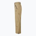Men's ski trousers Oakley Sub Temp RC Gore-Tex 2.0 pebble 9